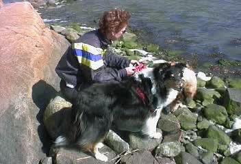 Lännestad 2000. Fotot taget av Maud och Lasse