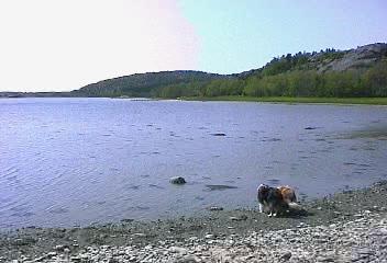 Lännestad 2000. Fotot taget av Maud och Lasse