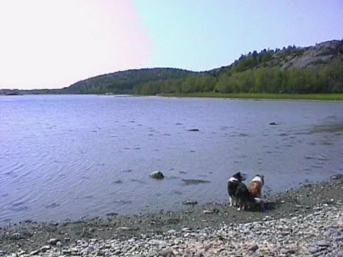 Lännestad 2002. Fotot taget av Maud och Lasse