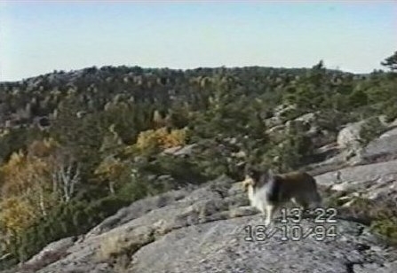 Lännestad. Fotot taget av Maud och Lasse